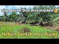 Jual Kebun sawit paket komplit Cuma 1 Milyar ada walet 2 Buah