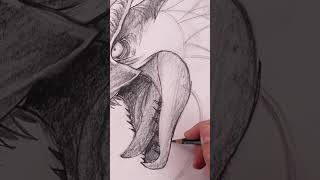 Drawing a Dragon