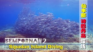 马来西亚沙巴最美海岛 诗巴丹岛 一生人必去的潜水圣地 Sabah Sipadan Island Diving Heaven #02