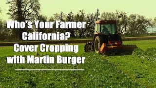 Who's Your Farmer California? Cover Cropping with Martin Burger