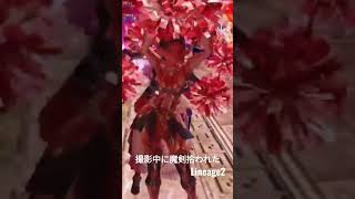 Lineage2【撮影中に魔剣拾われた】