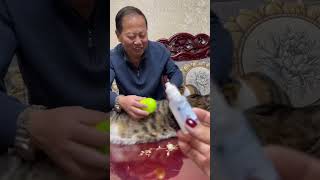 边梳毛边清洁的喷雾按摩梳子，软硅胶的梳齿让小猫咪爱上梳毛，看大花卷多享受#猫#宠物#猫毛#喵星人#猫咪 润晶缘百货