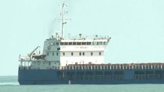 Ukraine requests Turkey detain Russian-flagged ship