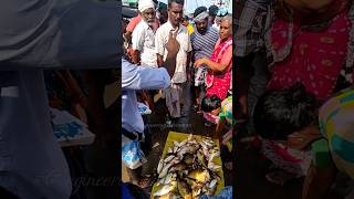 இவ்ளோ சீப்பா மீன் வாங்க...இங்க வாங்க | Sea Style - Engineering Meenavan #meenavan #fishing