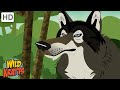 North Amercian Forest | Wolves, Beavers, Moose + more! [Full Episodes] Wild Kratts