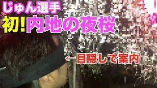 桜を見たこと無い沖縄人を目隠しして夜桜連れて行った【じゅん選手】