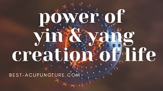 The Power of Yin & Yang, Pt. 1 - the Creation of Life