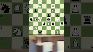 Oh sh*t.. nice move #chess #reels #chesstraps #shortvideo #checkmate #shortsfeed #shorts #trap