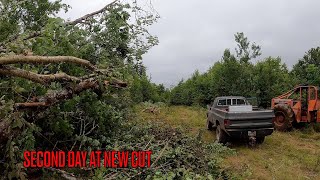 Old Logging Equipment 240D 453 Timberjack 2nd Day on The New Cut