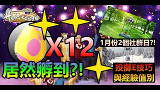 新年活動孵12顆7公里蛋孵到了?! 1月份2個社群日? 投擲excellent技巧與經驗值別 Pokemon Go 菲菲實況