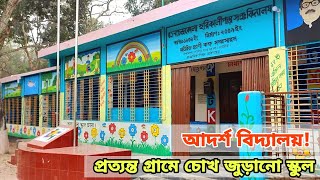 আদর্শ বিদ্যালয়। প্রত্যন্ত গ্রামে দারুণ একটি স্কুল। a beautiful primary school in village