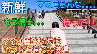 ママが居ないといつもと違う子供達が見れて新鮮ｗパパ＆5歳児男女双子＆2歳児末っ子の公園の様子