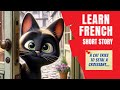 🇫🇷 LEARN FRENCH with a STORY | For Beginners (A1-A2)