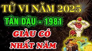 Luận Giải Chi Tiết: Tử Vi Năm 2025, Tân Dậu 1981, ĐỔI VẬN SÁNG BỪNG, PHẤT LÊN CỰC GIÀU, Hốt Tiền tỷ