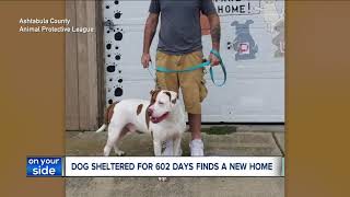 Patches finds new home after spending 602 days at Ashtabula County APL