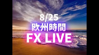 raiの欧州時間FXライブ。リアルタイムでの相場目立て、エントリーやトレード手法解説など