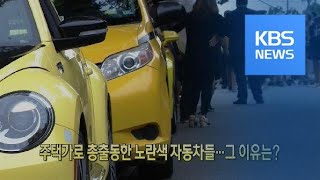 [클릭@지구촌] 주택가로 총출동한 노란색 자동차들…그 이유는? / KBS뉴스(News)