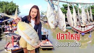 หาดทรายดำแห่งเดียวในประเทศไทยแวะดูชาวบ้านหาปลาใหญ่ชุมชนยายม่อม #เดินทางตามลมสายฝน34