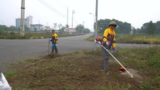 The Unbelievable Discovery Beneath the Grass on a Sidewalk Abandoned for 10 Years - Cleanup sidewalk