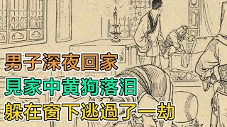 民間故事：男子深夜回家，見家中黃狗落淚，躲在窗下逃過了一劫