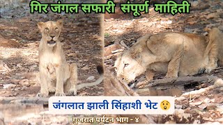 Gir National Park Lion Safari Full Information - गिर जंगलाची संपूर्ण माहिती - गुजरात पर्यटन भाग ४