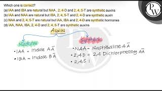 Which one is correct? (a) IAA and IBA are natural but NAA , 2, 4-D ...