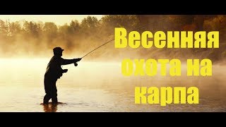 Весенняя ловля карпа (HD)