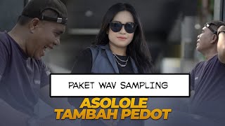 PAKET WAV BAHAN SAMPLING PEDOT ASOLOLE UNTUK BAHAN SAMPLING DAN MULTIPAD