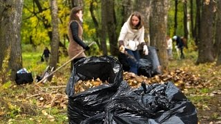 Субботники в Череповце