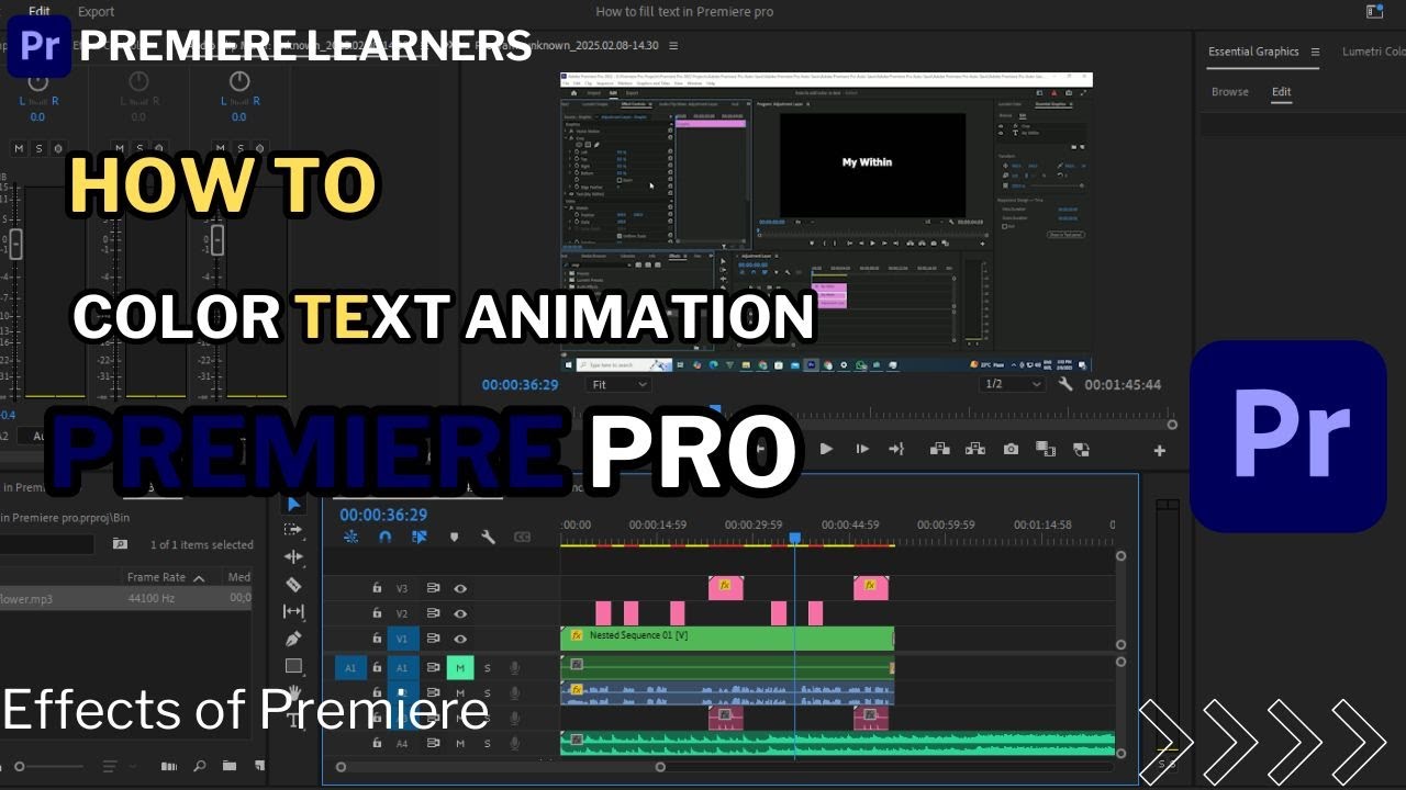 How To Fill Text Animation In Premiere Pro Premiere Pro Text Effects