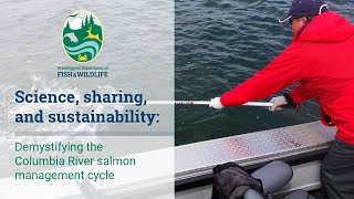 Science, sharing, and sustainability: demystifying the annual Columbia River salmon management cycle