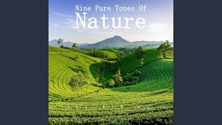 Quiet Natural Tone (Soothing)