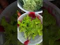 fresh veggies harvesting lettuce satisfying gardening