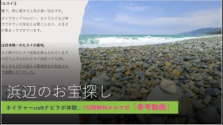 【ビーチコーミング】　誰もが無償で受け取れるもの。　一攫千金もねらえちゃうかも？