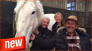 Shocking |  Tamme Hankens Pferd "Jumper" starb wegen eines Giftanschlags