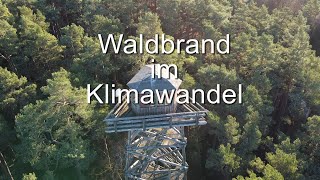 Waldbrand Im Klimawandel