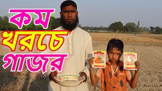 কম খরচে গাজরের চারা উৎপাদন  । সহজ পদ্ধতিতে চারা উৎপাদন ।