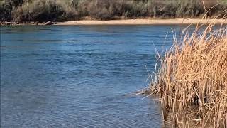 🇺🇸USA🇺🇸 Colorado River Crossing between Ehrenberg in Arizona and Blythe in California!