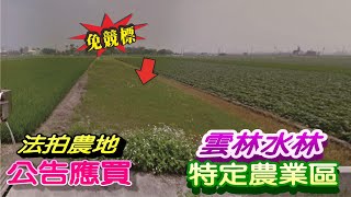 【法拍農地】【水林鄉方正農地】【約1分4厘農地】雲林縣水林鄉大興段120地號【公告應買】【遞狀日期：自113年01月31日起3個月內】