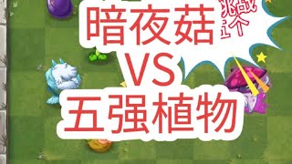 暗夜菇vs五强植物#pvz #植物大战僵尸2 #电子斗蛐蛐