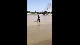 FISHING VIDEO 🐡🐠 Accidentally photographed by the river. #realoutdoor #outdoor fishing #sannong #