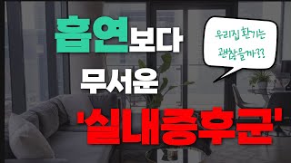 온집안에 떠다니는 오염물질 / 실내공기 정화에 가장 효과적인 방법