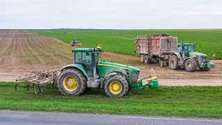 Un chantier à l'américaine à l'arrachage des betteraves 2024 !