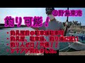 釣り禁止？　釣り可能？　現在の南房総各漁港の状況　車の横づけ・トイレの情報も。　2021年8月29日　調査してきました。