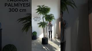 🌴Yağmur palmiyesi🌴şık beton saksı🌴300 cm🌴 #indoorgarden #garden #artificialtree