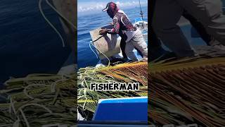 CHEAT CODE FOR FISHING - #fishing #fishingvideo #ocean