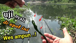 AMPUN WES || UJI KEBERUNTUNGAN DI SPOT INI MEDIA LUMUT || mancing liar ngantang Eps 63