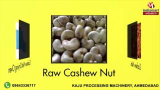 Raw Cashew and Machinery by Kaju Processing Machinery, Ahmedabad