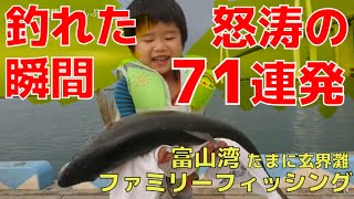 釣り 大物 アタリ！ファミリーフィッシング ダイジェスト総集編[釣れた瞬間71連発 富山湾 玄界灘 71 moments of family fishing.