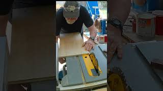 Cutting a bevel in Plywood #shorts #boatbuilding #boatprojects #boatbuilder  #cat